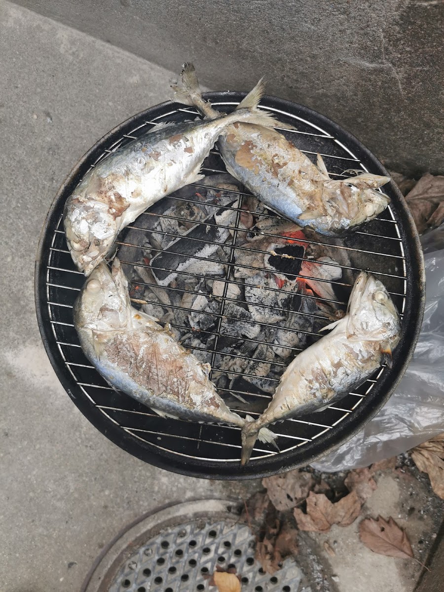 Espresso House Vällingby-10